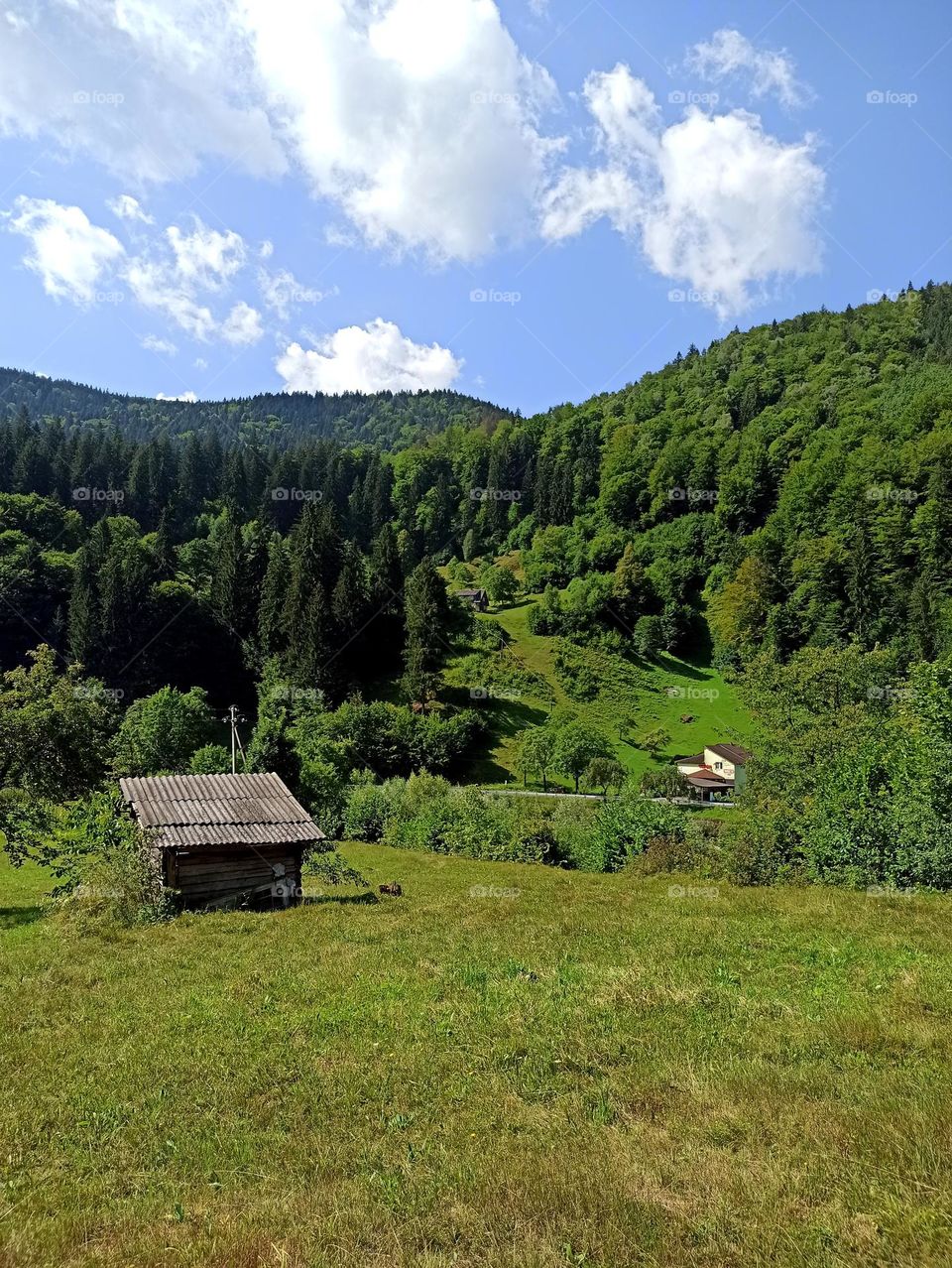 Your favourite travel destination
My beloved Carpathians. Green flower meadows. Cows with bells around their necks. Unforgettable trip across Ukraine. Mountains Dragobrat. Magnificent nature.