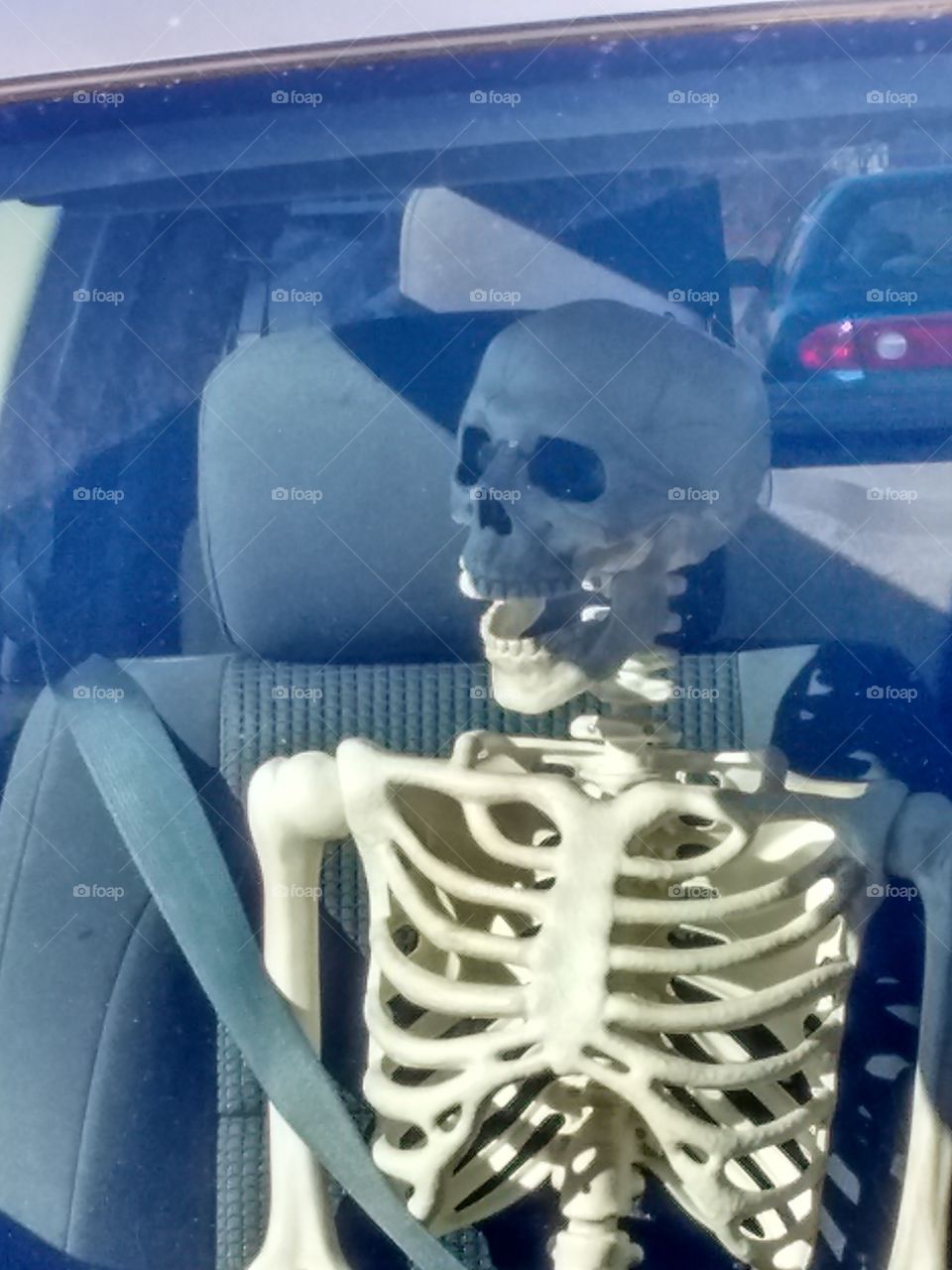 skeleton passenger through windshield