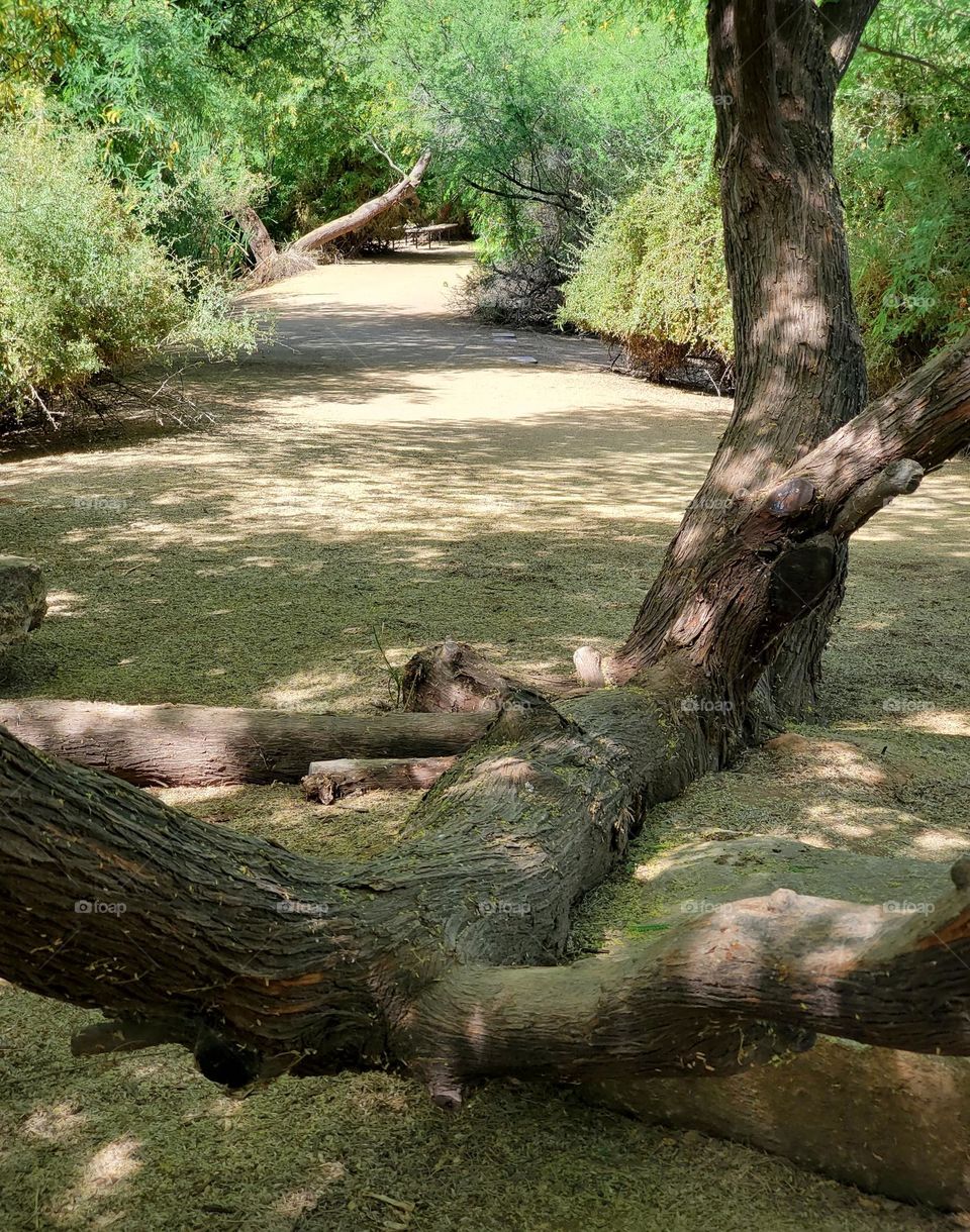 Obstacles in a Winding Path