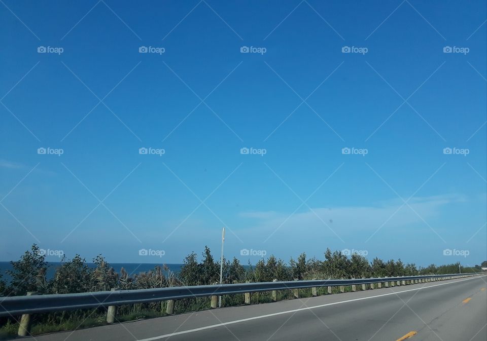 skies, water and trees