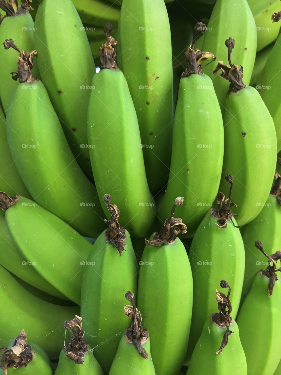 Green Banana / Topochos Verdes 