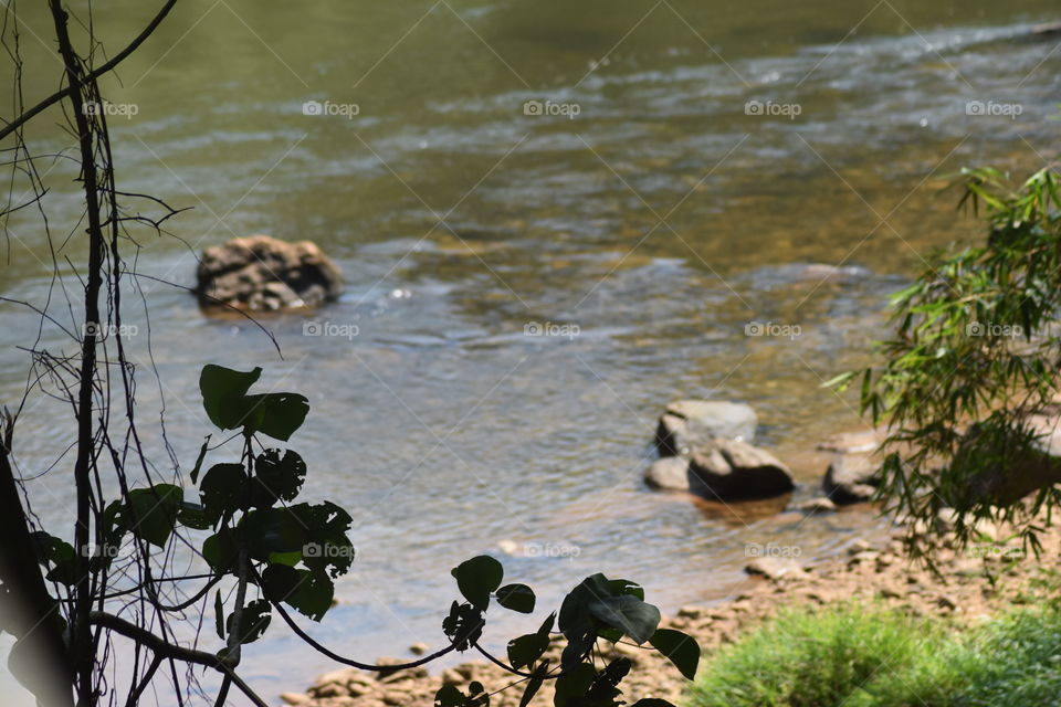 It is a beautiful river calmly flowing through forest and beautiful mountains