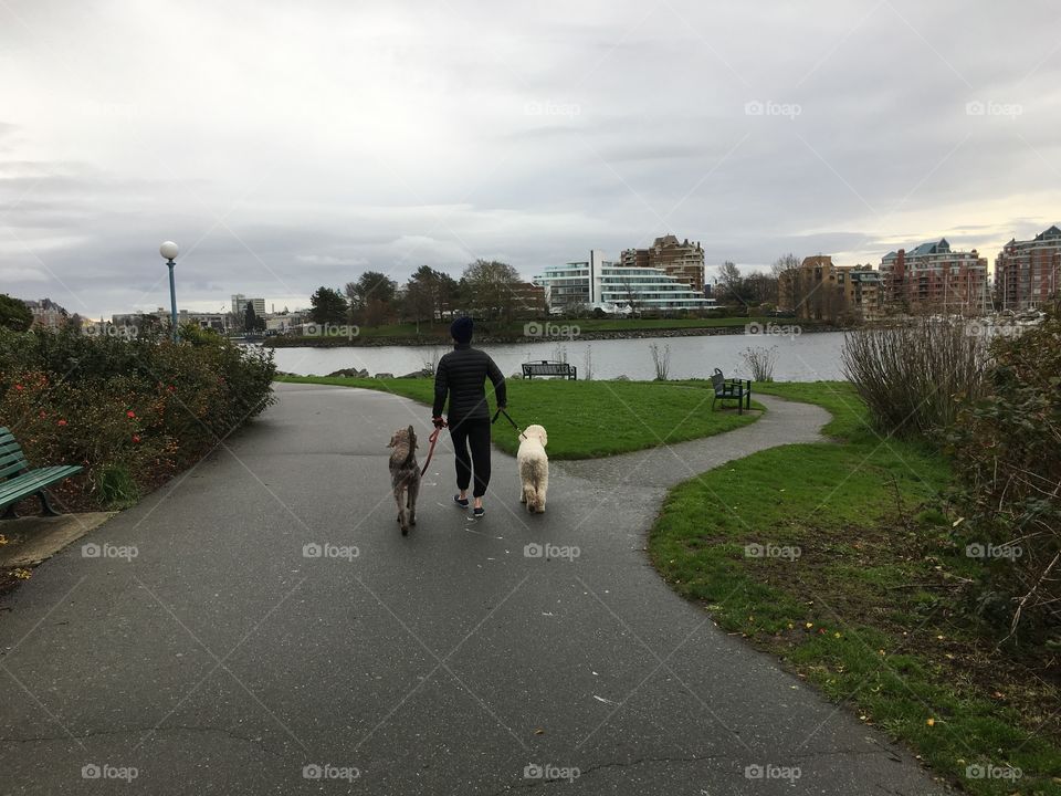 Man and his dog