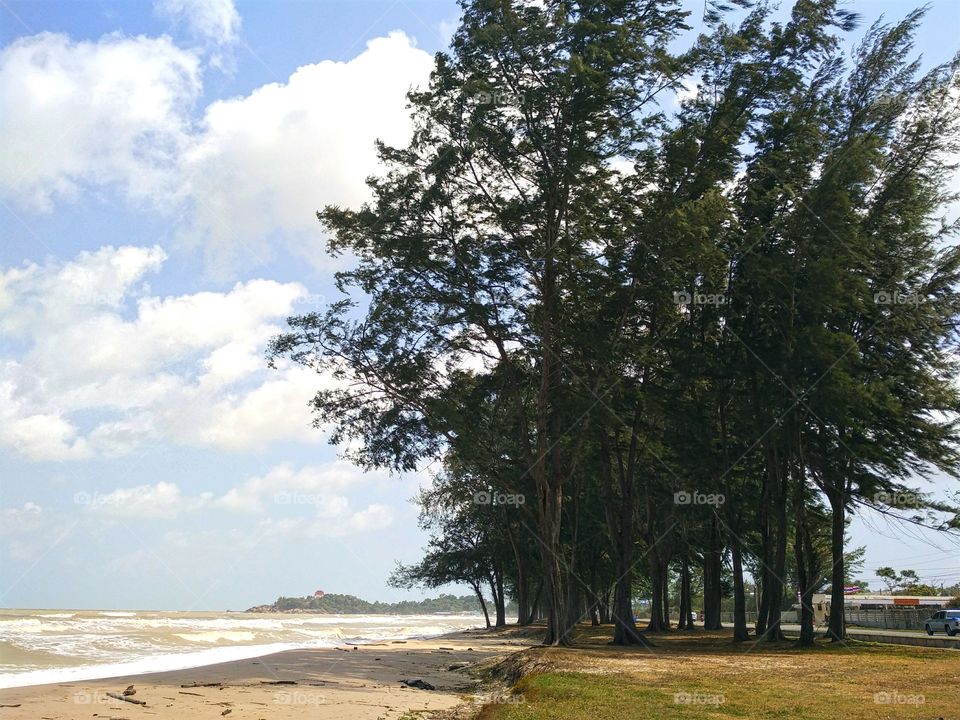 Windy beach