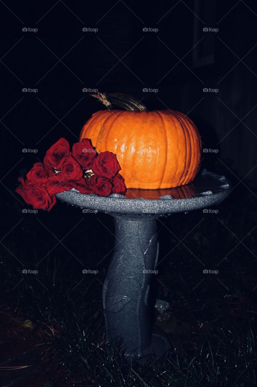 Pumpkin, roses, and raindrops 