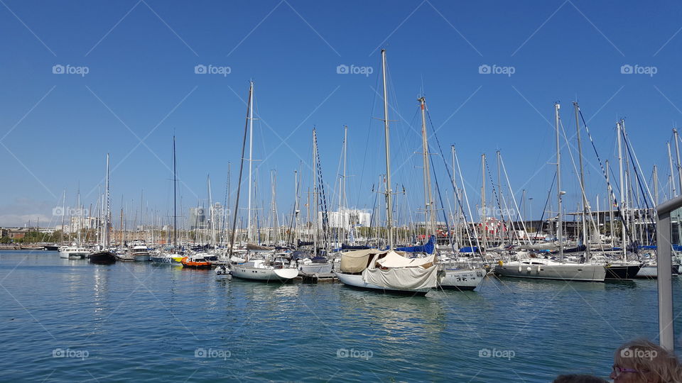 Docked boats