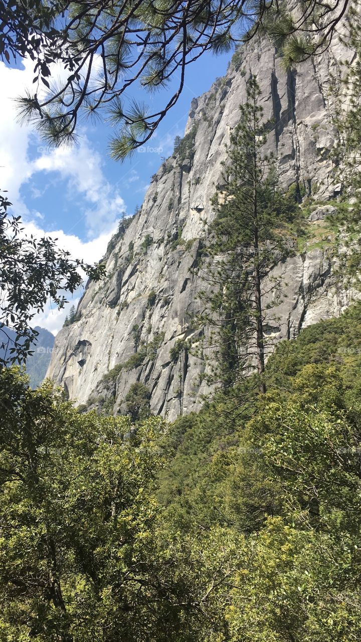 Hiking Yosemite 