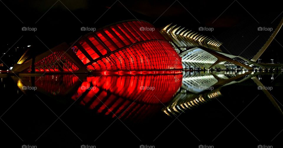 Ciudad de las Artes y las Ciencias 
City of Arts and Sciences