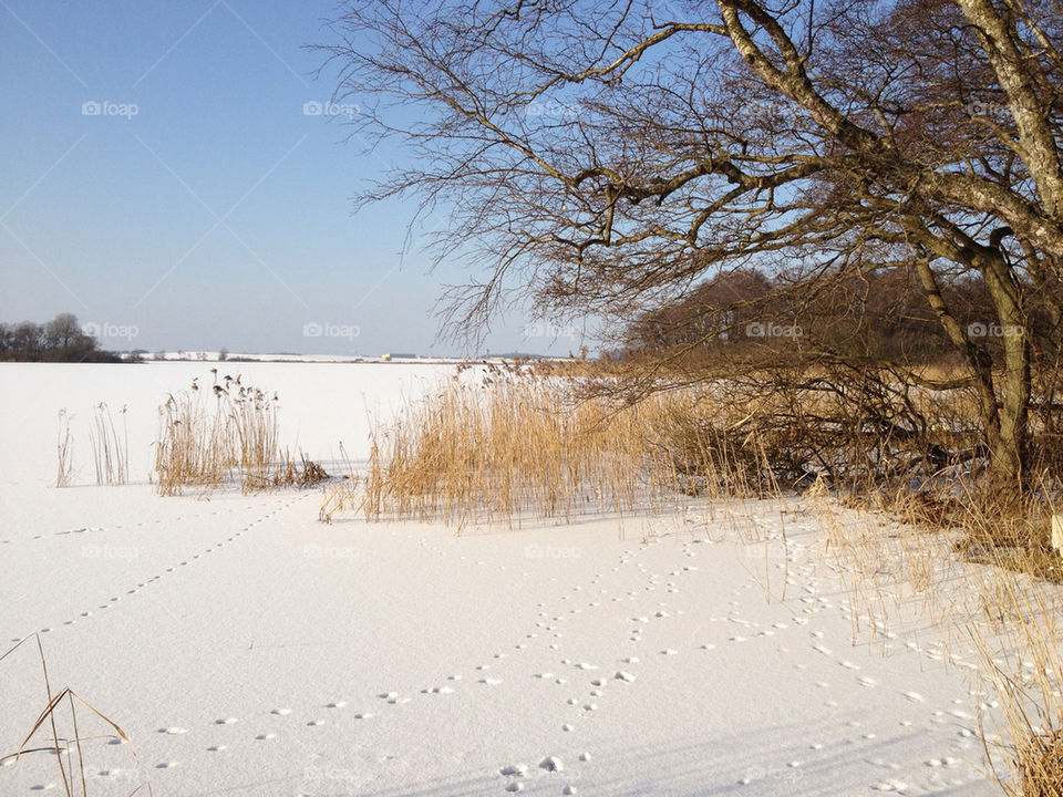 snow winter sweden nature by rudestar