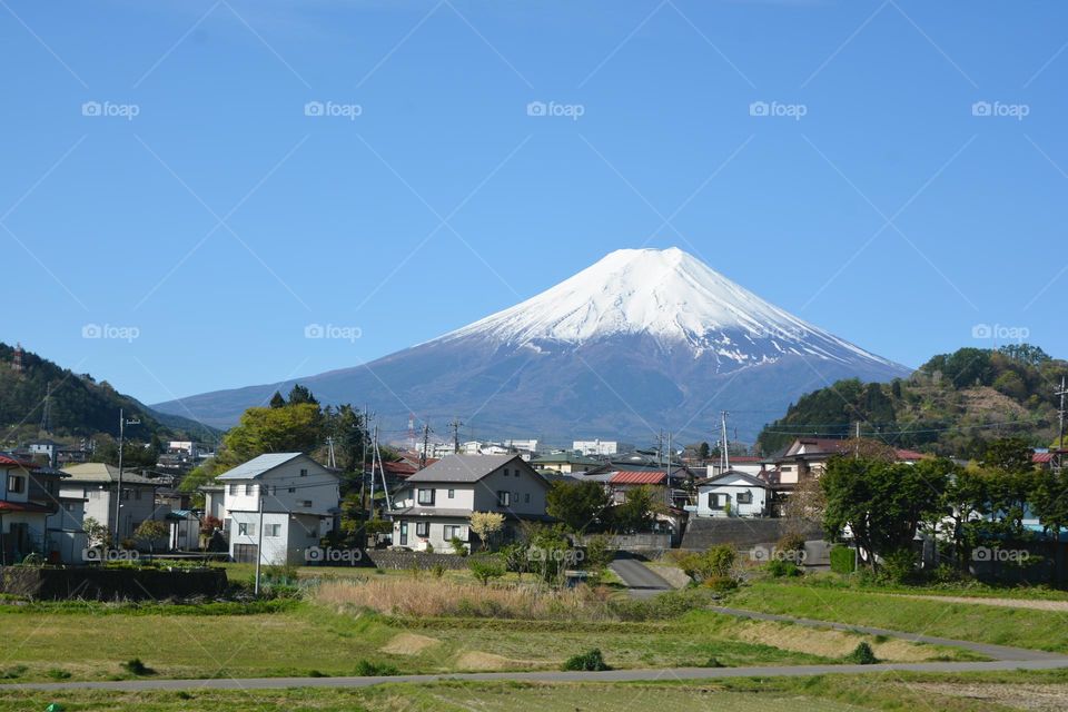 Fuji mountain in spring 