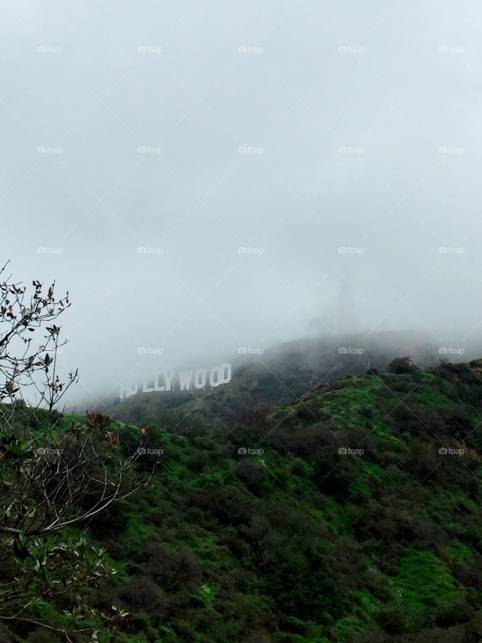 Hollywood Rainy Day 