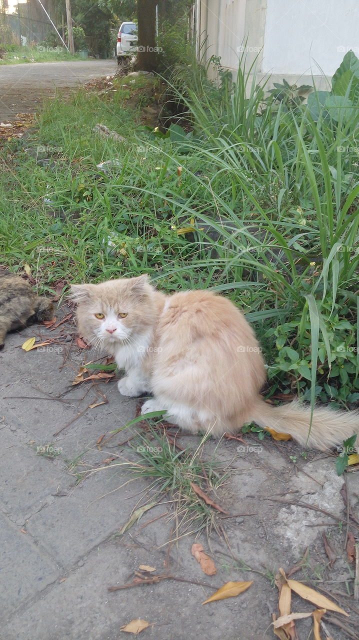 Don't too close to me