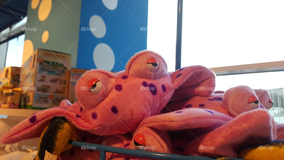 This plush toy has pokeballs for it's eyes