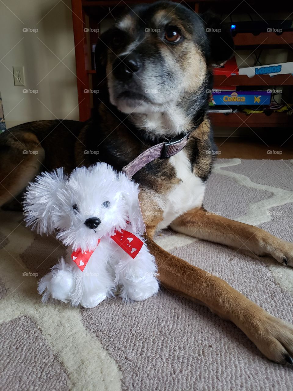 Pepper and her Valentine