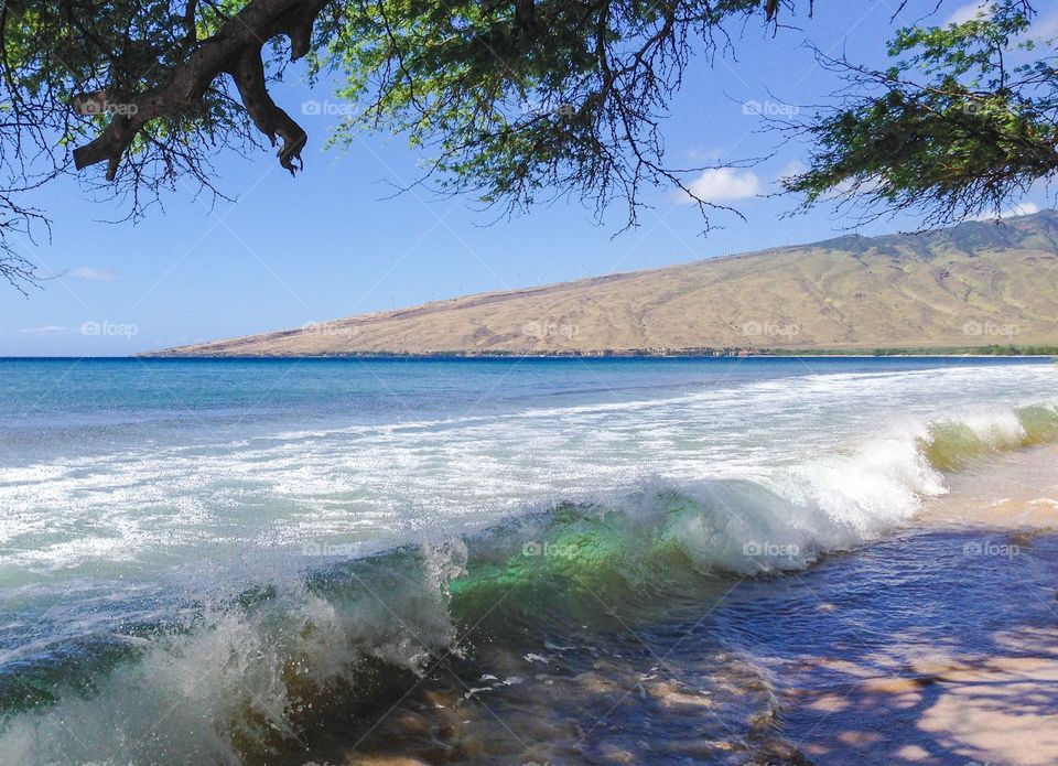 Hawaiian Shoreline