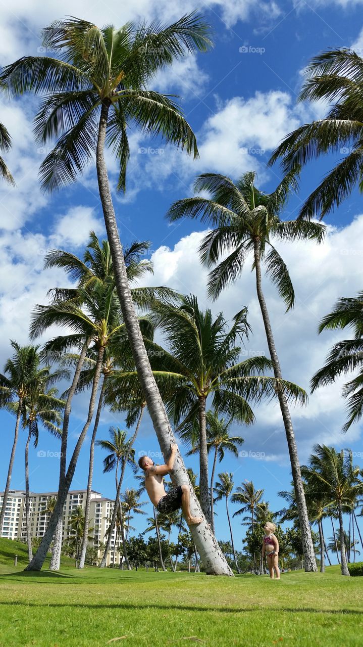 Man climbing on palm tree and her little daughter on field