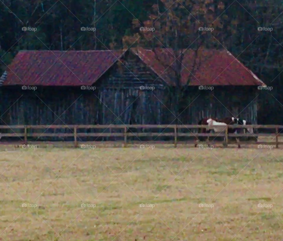 Old barn in Georgia 