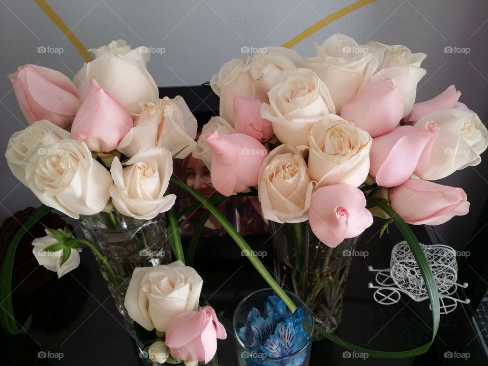 Roses