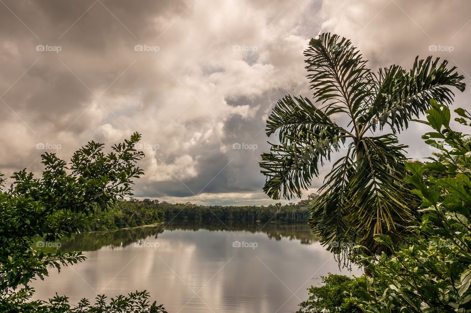 No Person, Tree, Water, Nature, Outdoors