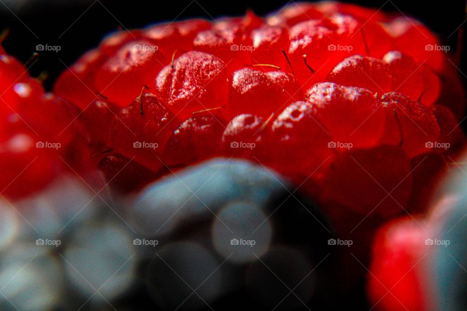 close up raspberry