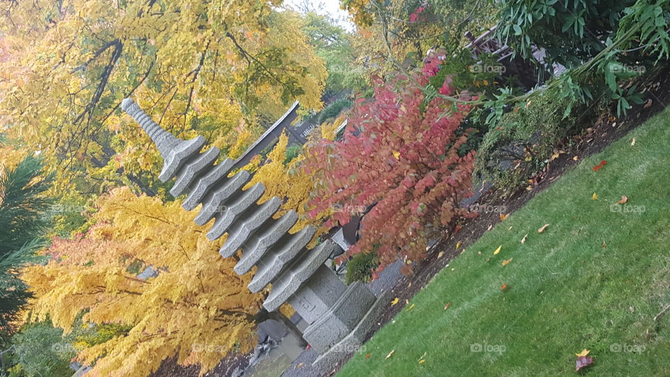 fall japanese garden