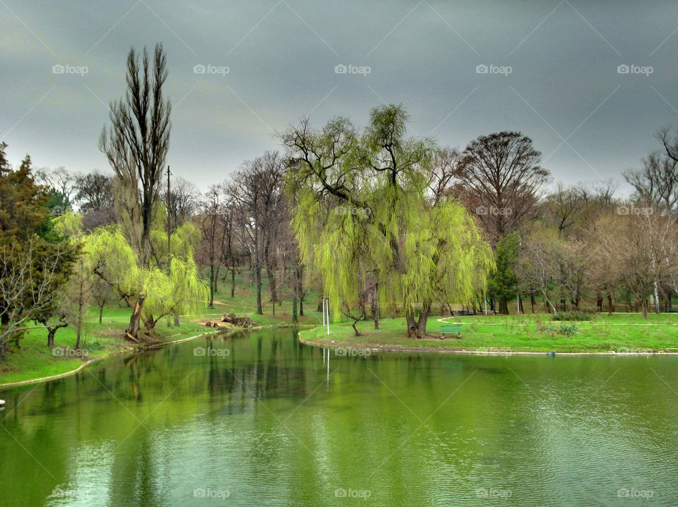 Scenic view of lake and trees