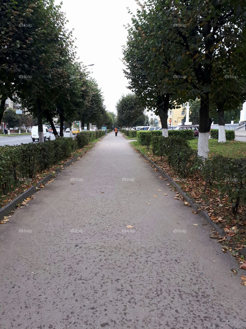 Gagarin stree in the city of Cheboksary