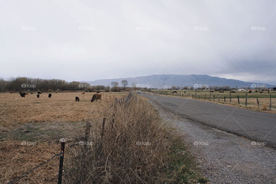 Utah Farm Land