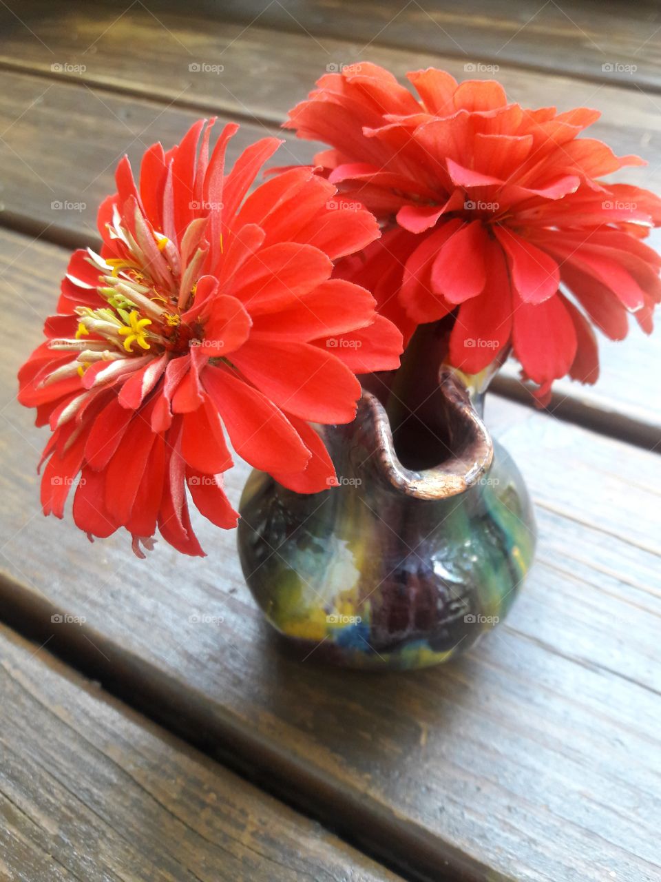 pot of flowers