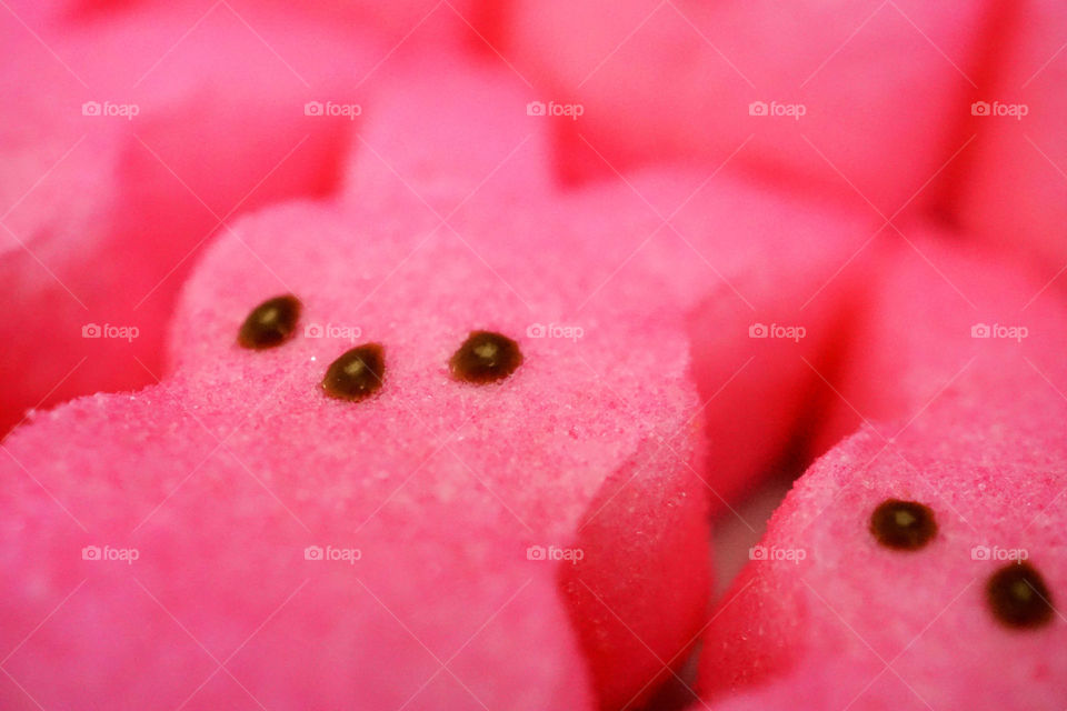 Close-up of a dessert food