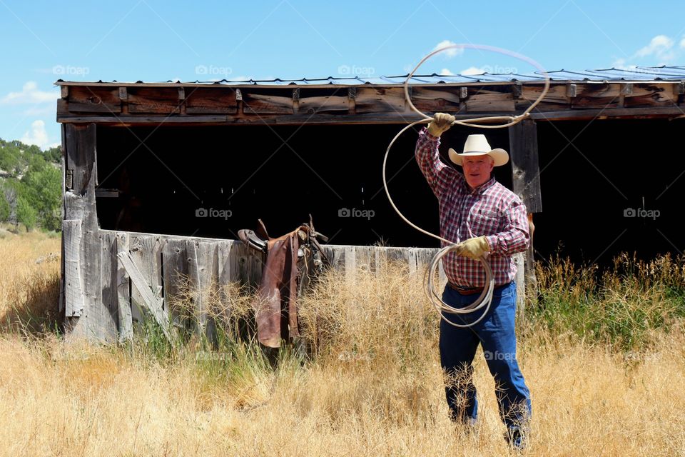 Cowboy throwing rope