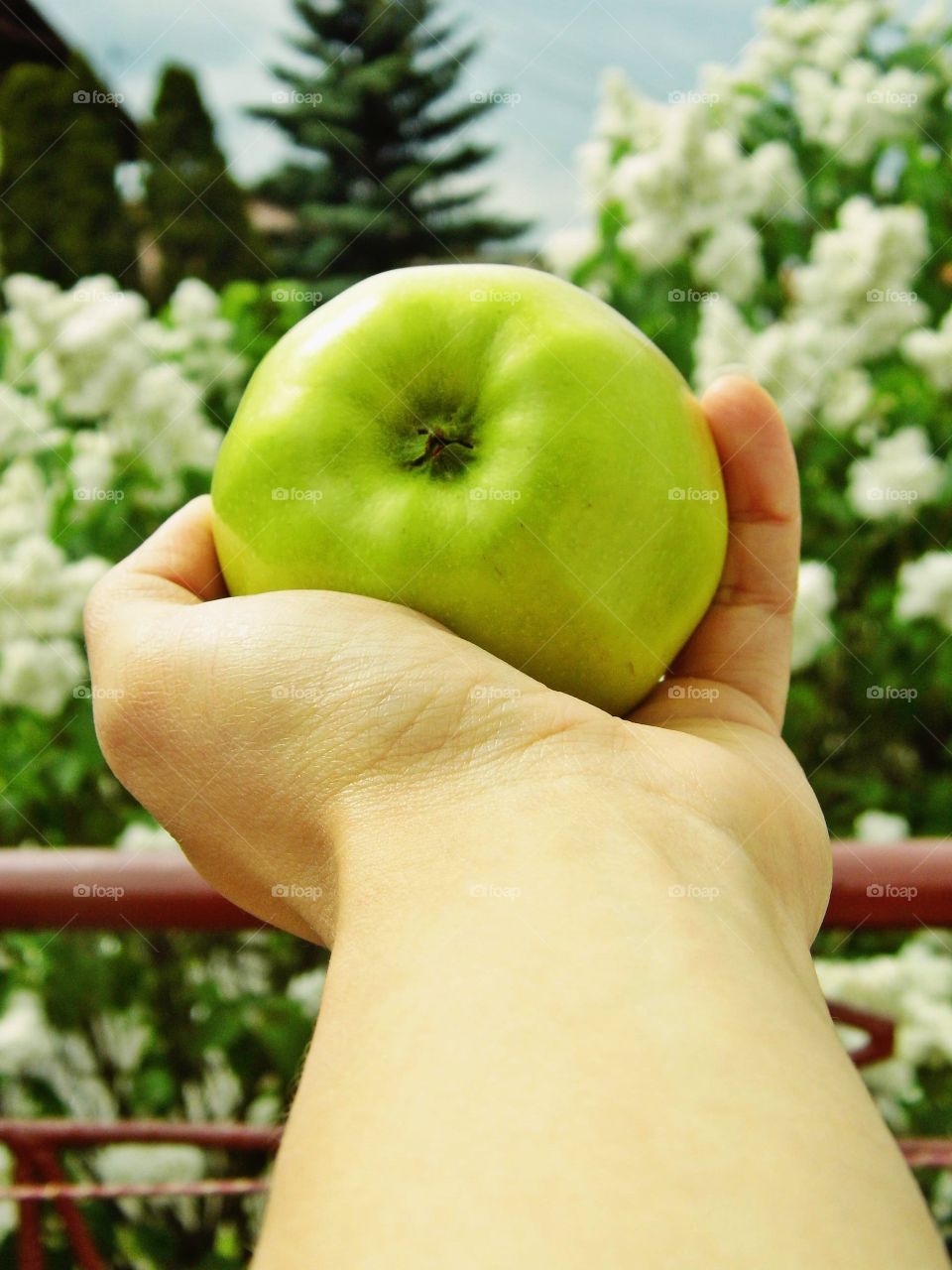 Selective view of hand holding green apple outdoors