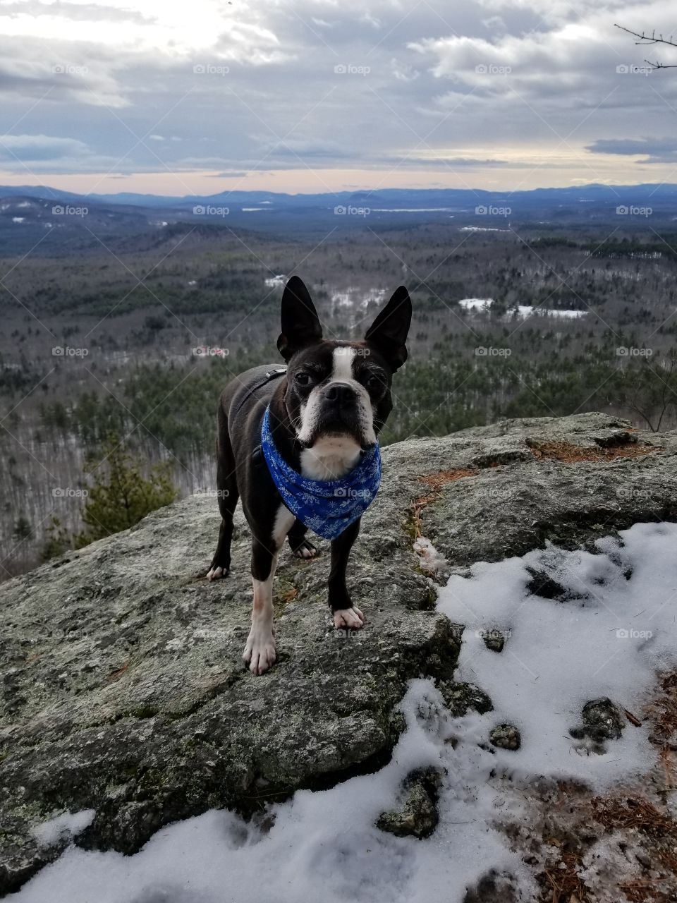 king of the mountain