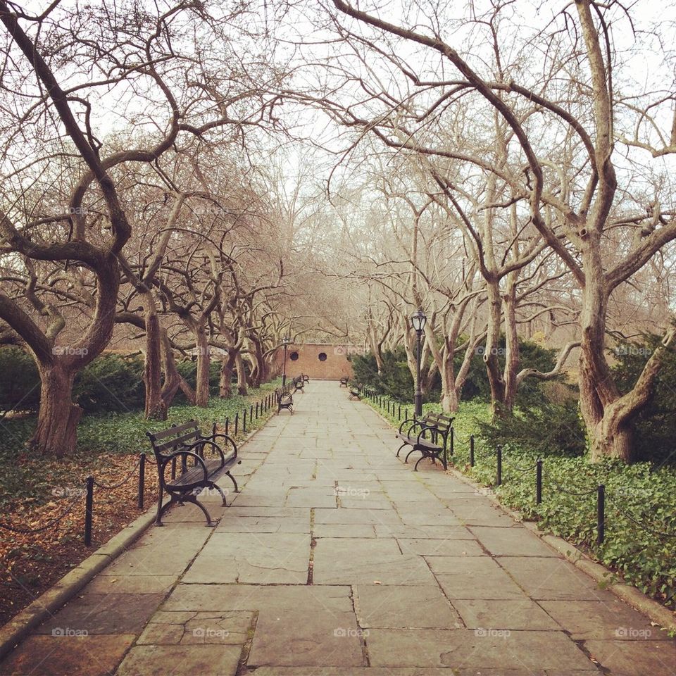 Central Park, Conservatory Gardens