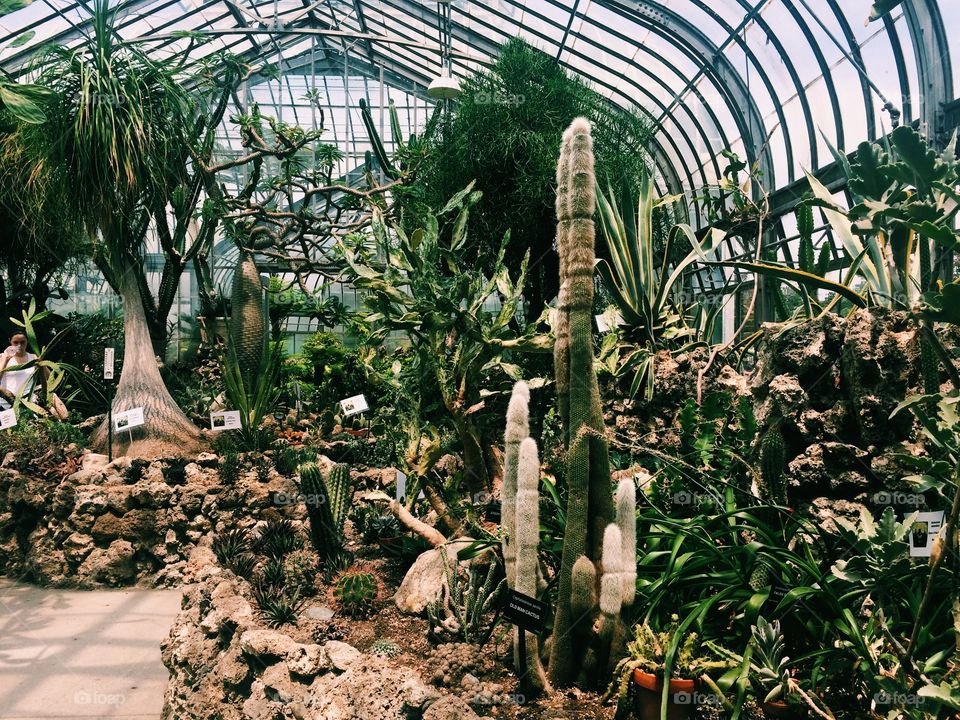 Belle Isle Conservatory 