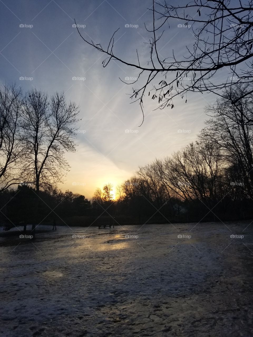 Winter sky