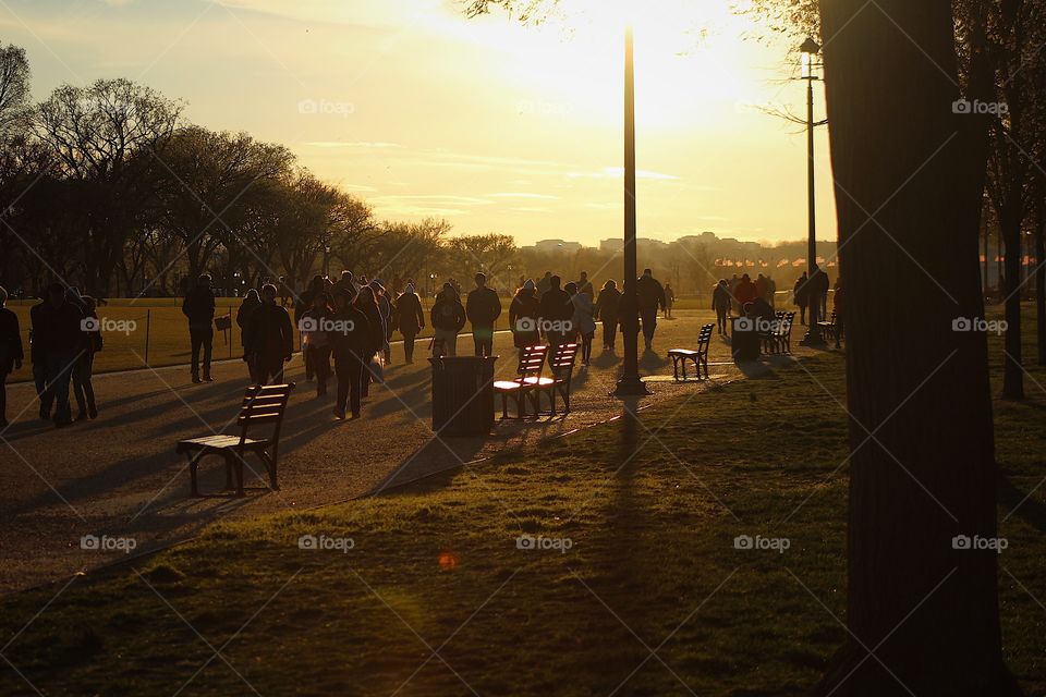 A cold evening and a walk through park 