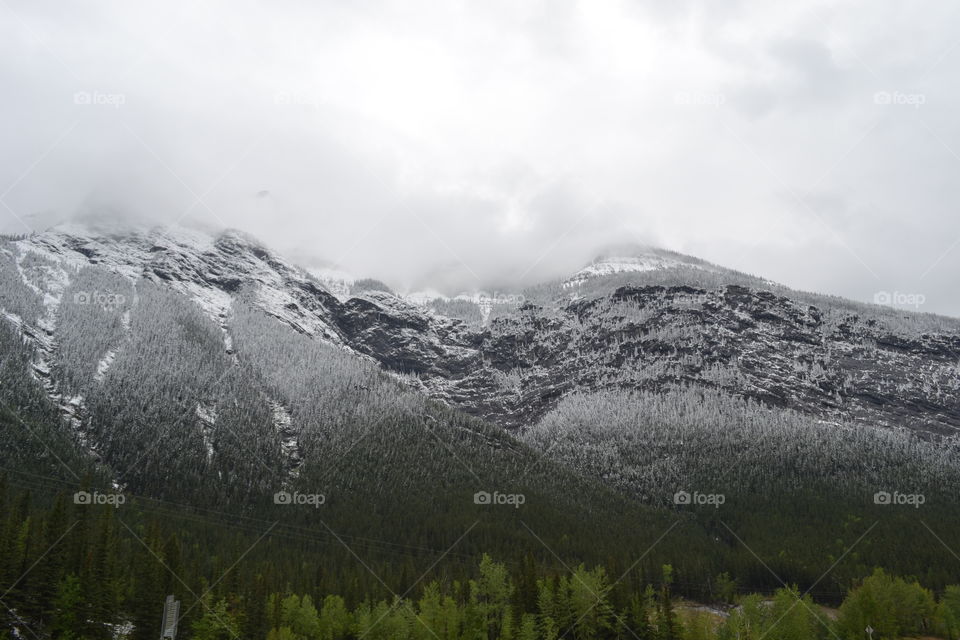 A stormy grey winter day in the Rocky Mountains of Canada; the snowfall against the mountains renders the scenery grey and white 