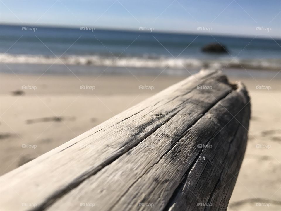 Sun dried wood on the beaches of California