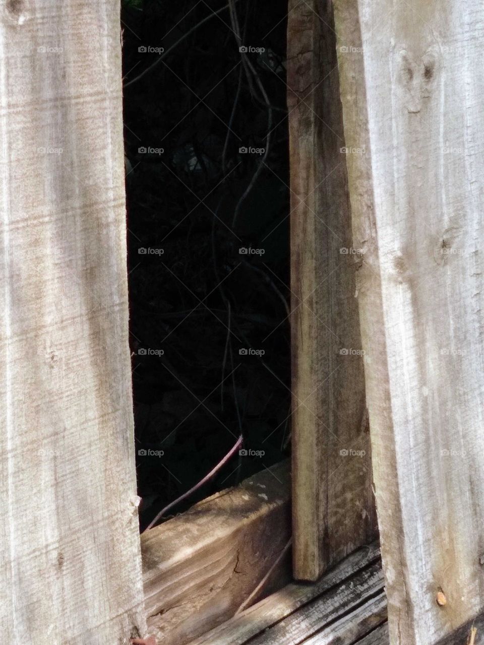 A vandalized fence and the darkness⚫👀 behind it.