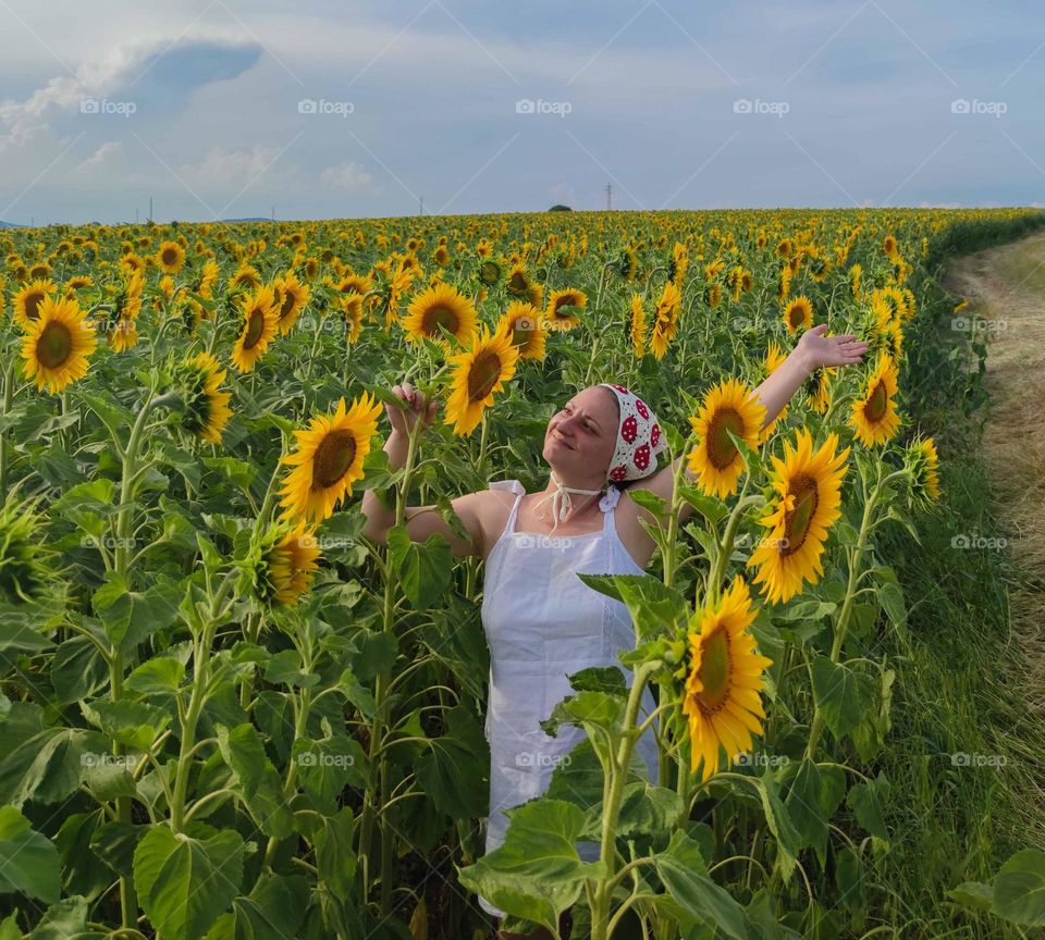 Relax in the sunflower field