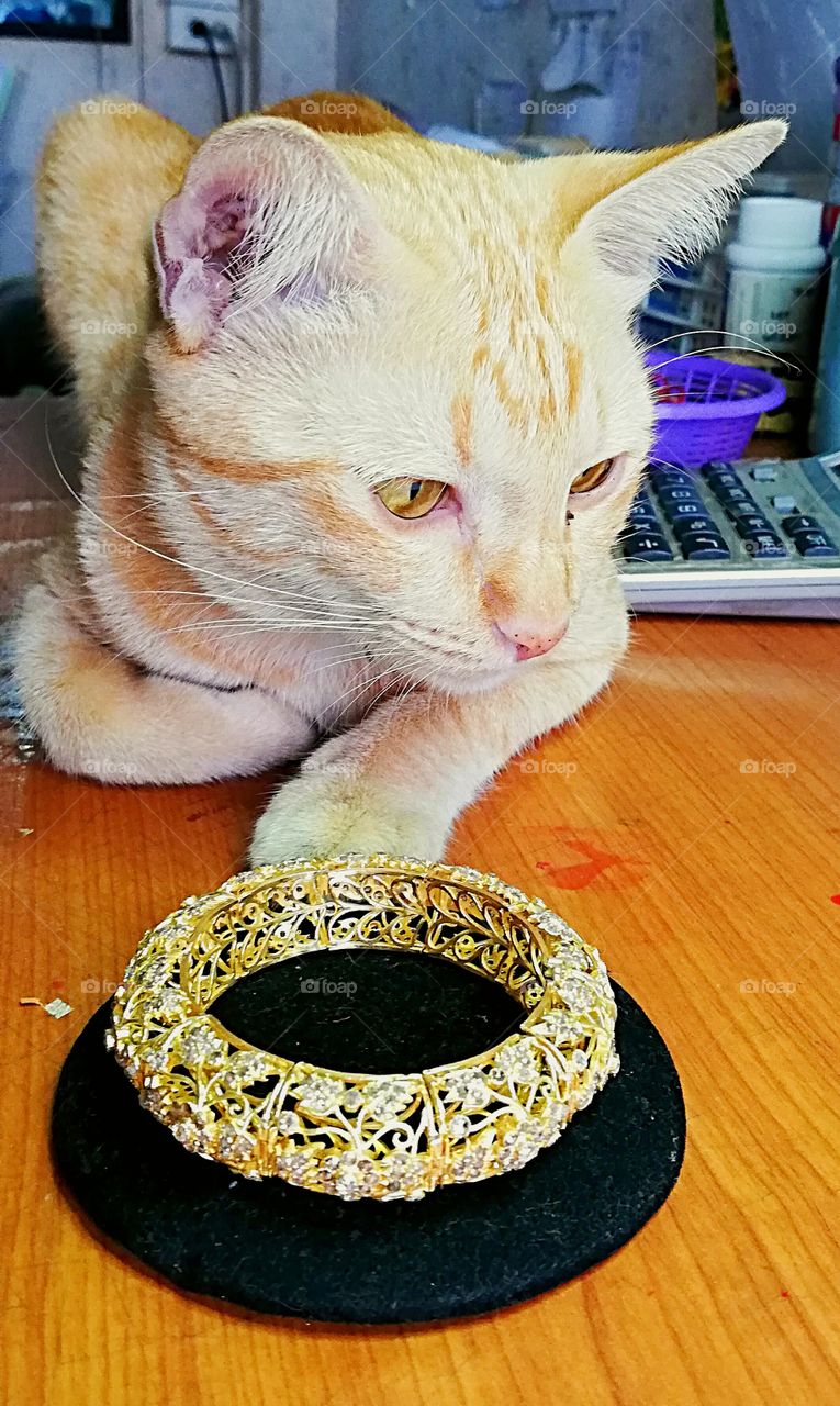 She not interest​  in diamonds  bangle.