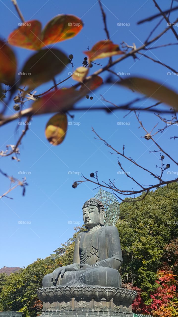 Bronze Buddha "Tongil Daebul" at Sinheungsa Temple, South Korea