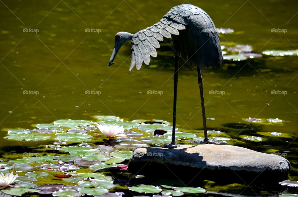 Crane statue near pond