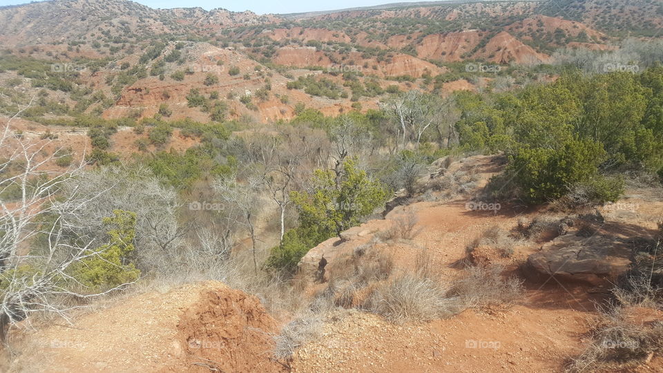 canyon wilderness in texas