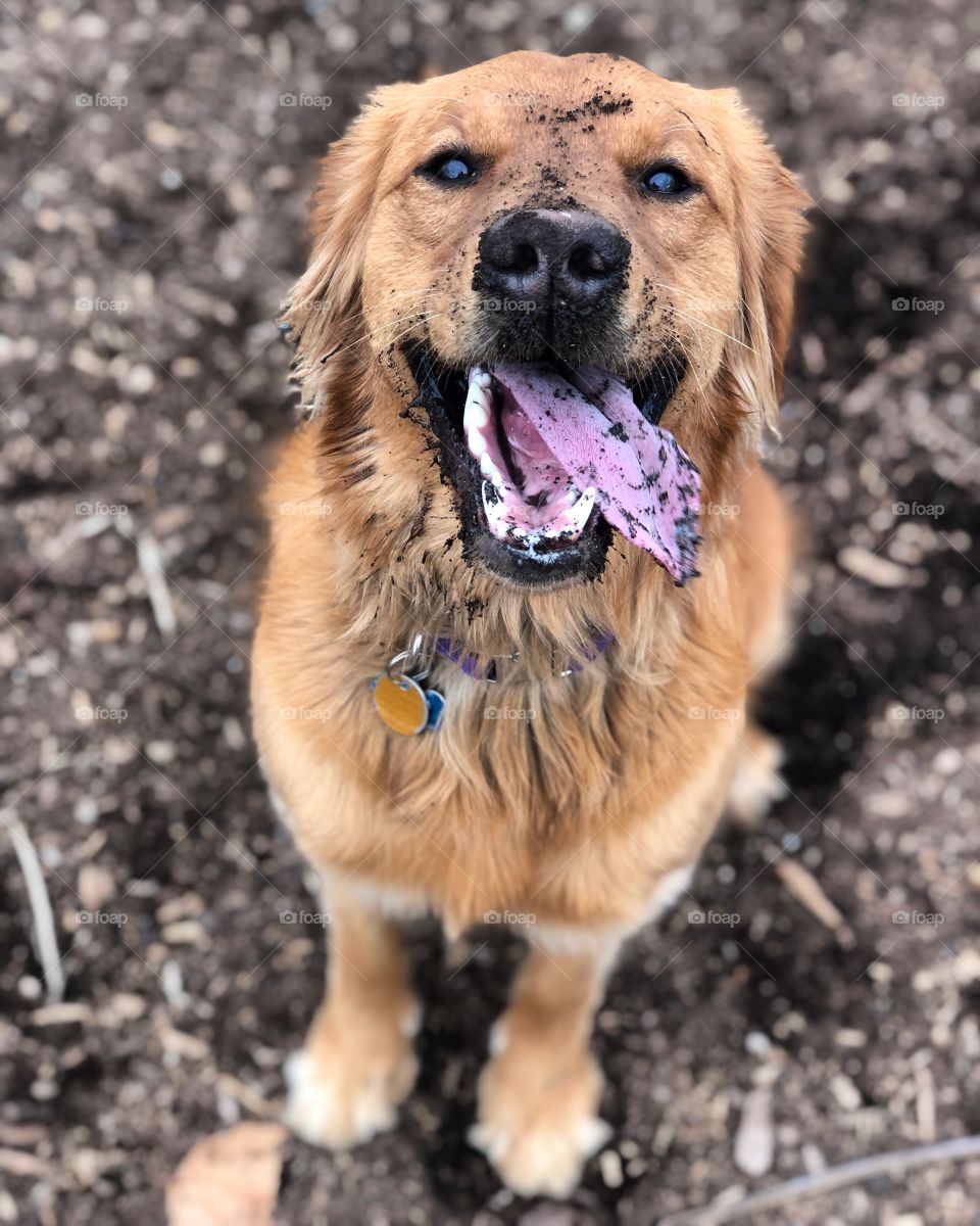 Fun in the dirt