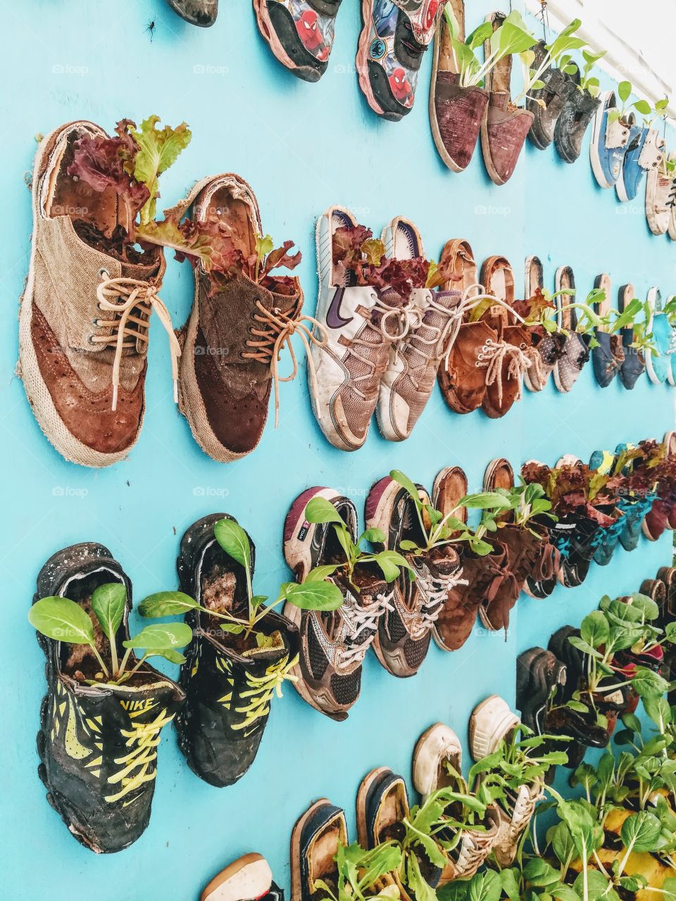 Recycled Shoe Planters