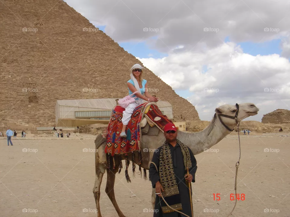 Egypt- camel 🐫
