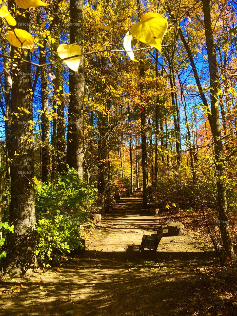 Conservatory pathway