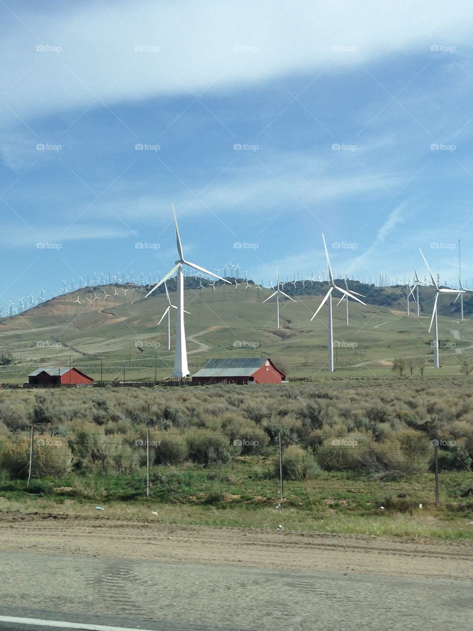 Windmills . Windmills 